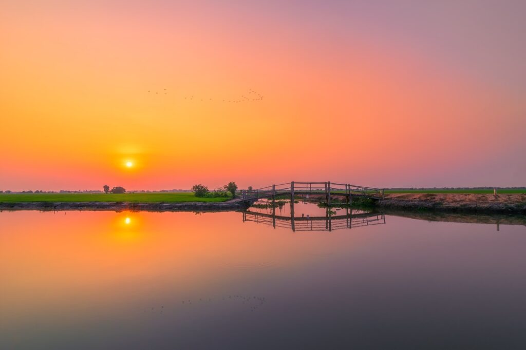 アロマの効果を示すケーススタディ提出のポイントは？
