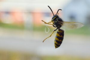 AEAJアドバイザー資格取得の方法とは？