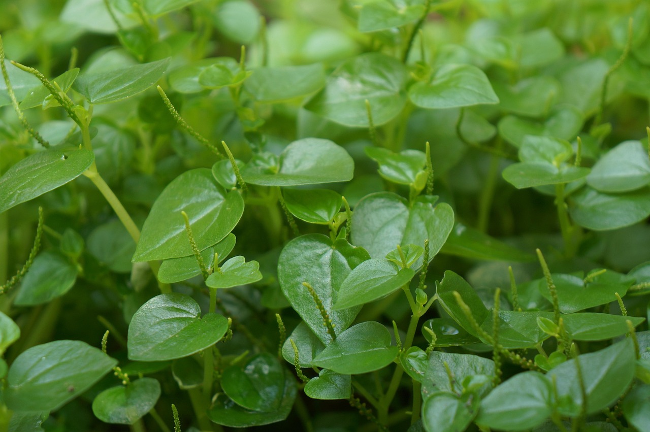 アロマセラピストの副業で成功するための秘訣は？