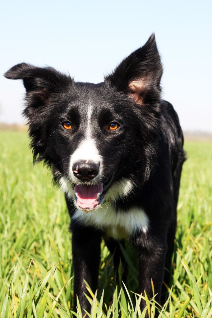 アロマの働き方はいろいろある？