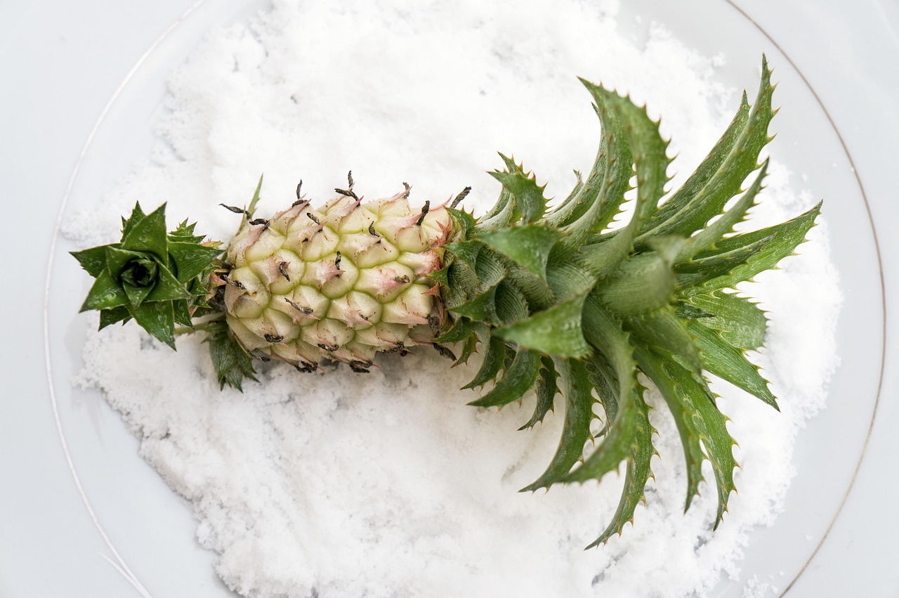 アロマ資格でどれが有名なものなのか徹底解説しますか？