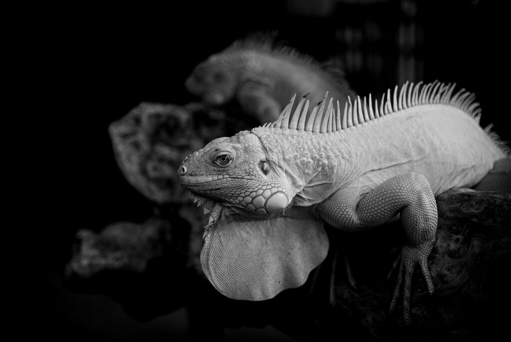 JAAアロマコーディネーターとはどんな資格で、どのようなスキルが求められるのか？