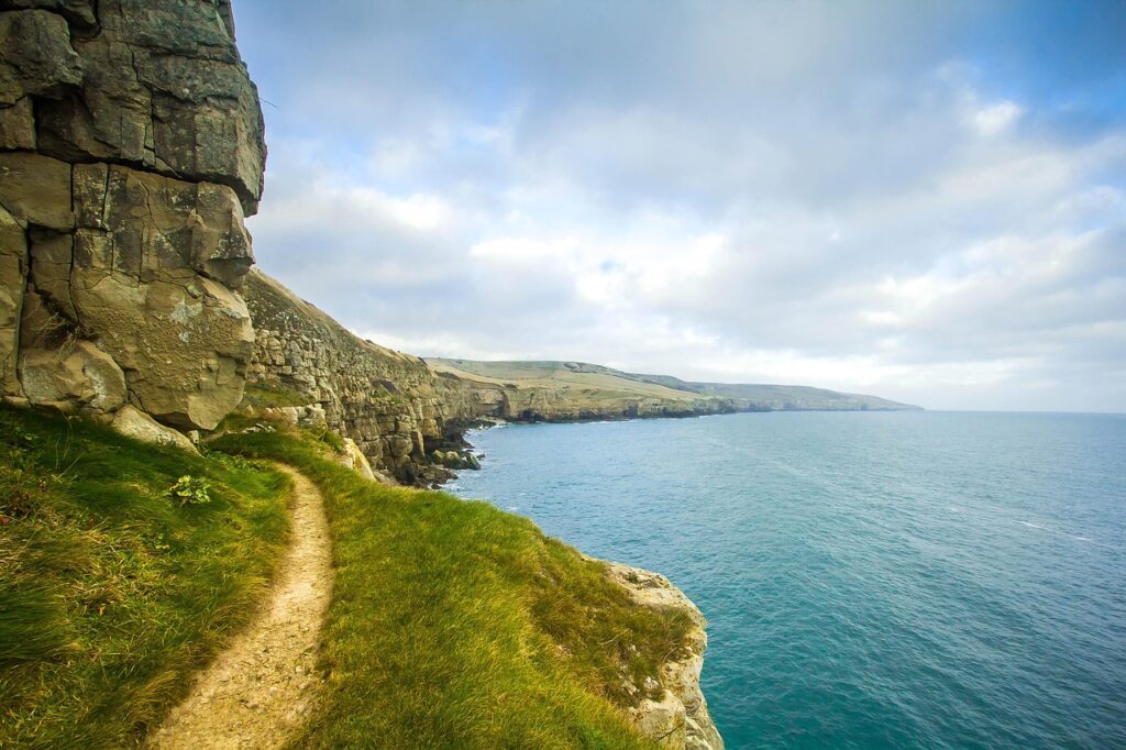 アロマ資格を取得することの価値はあるのか？